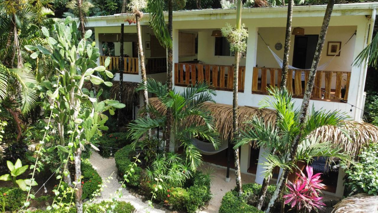 Colibri Apartments - 4 Min Walk To The Beach! Playa Santa Teresa  Exterior foto