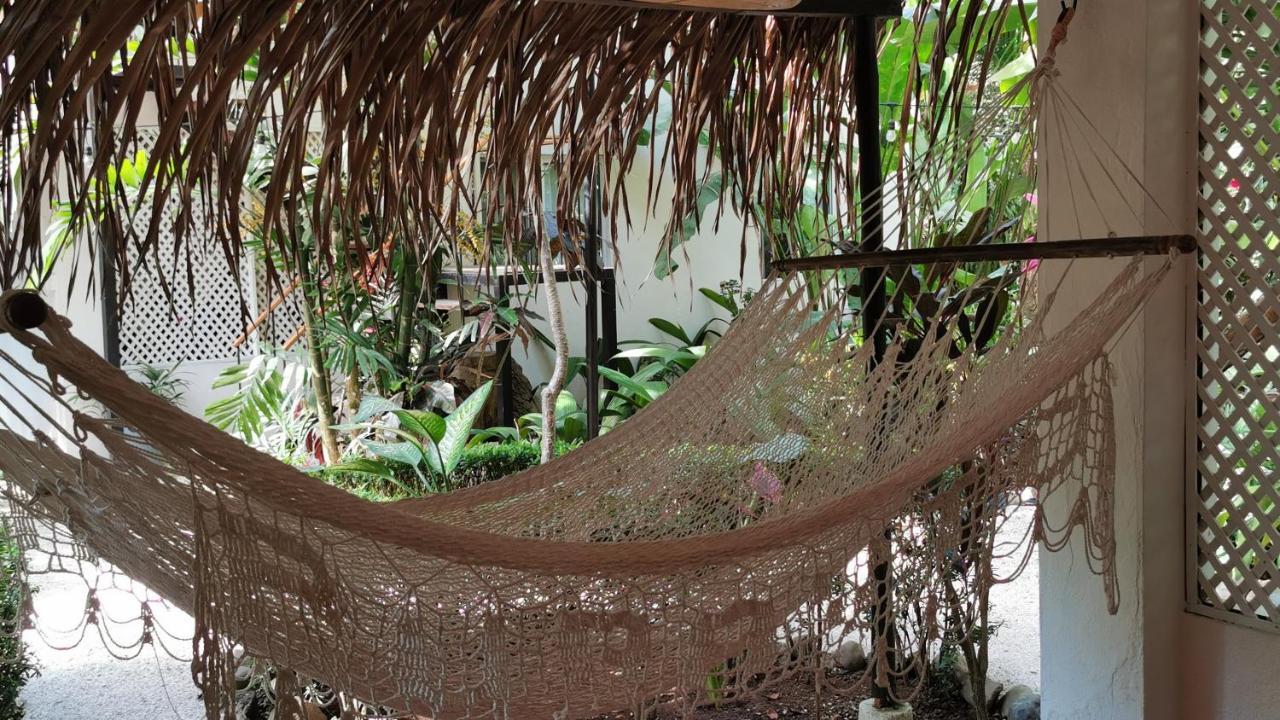 Colibri Apartments - 4 Min Walk To The Beach! Playa Santa Teresa  Exterior foto